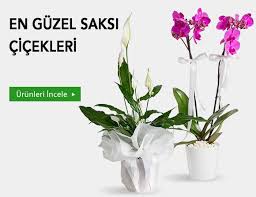 İzmir Bayraklı Çiçekçi