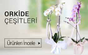 İzmir Bayraklı çiçekçiler butik çiçekler
